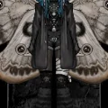 bug